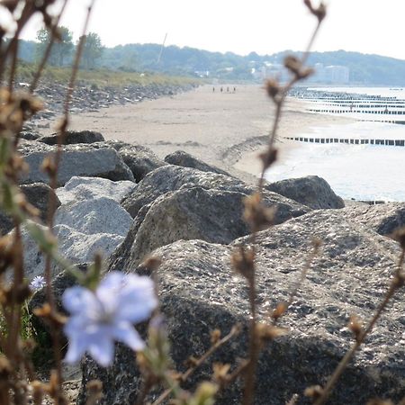 Fachwerkhaus Am Meer App 4 보르게렌데레트비슈 외부 사진